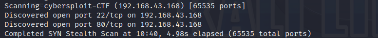 cyber1 escaneo.png